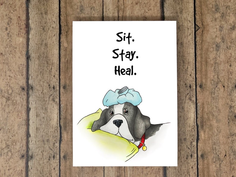 Funny Get Well Card  Sit.  Stay.  Heal. image 1