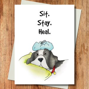 Funny Dog Get Well Card - Sit.  Stay.  Heal.