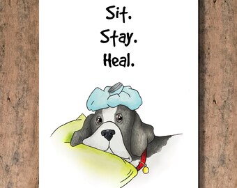 Funny Dog Get Well Card - Sit.  Stay.  Heal.