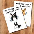 Funny Cat Get Well Card - At Least You Don't Have to Wear a Cone!