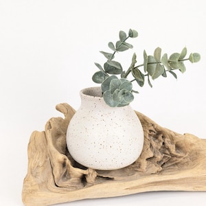 May include: A small, speckled white ceramic vase holds faux eucalyptus branches. The vase sits on a piece of driftwood, creating a natural, minimalist aesthetic. The arrangement is set against a white background.