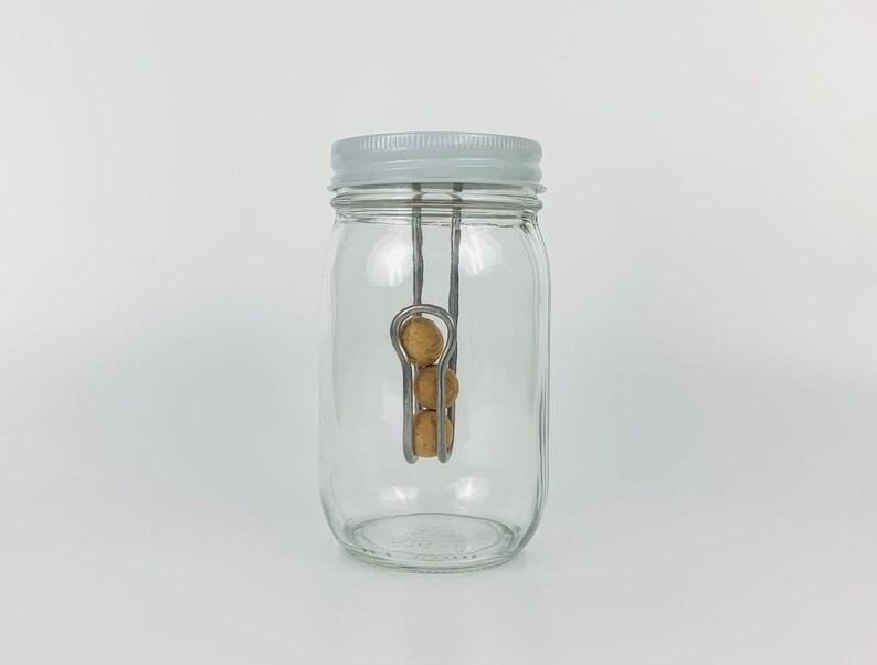 Pu&ograve; includere: Un barattolo di vetro trasparente con un coperchio bianco e un dispositivo in filo metallico che contiene diversi piccoli oggetti rotondi e marroni all'interno.