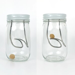 May include: Two clear glass jars with white lids and a metal wire contraption inside. A small, round, brown object is resting on the wire in one jar and at the bottom of the other jar.