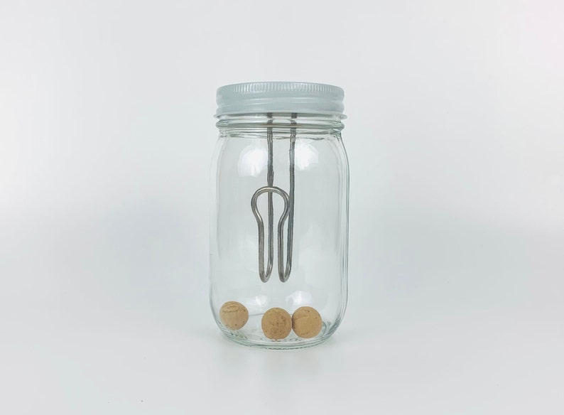 Pu&ograve; includere: Un barattolo di vetro trasparente con un coperchio bianco e un filo metallico all'interno. Ci sono tre oggetti rotondi di colore marrone chiaro all'interno del barattolo.