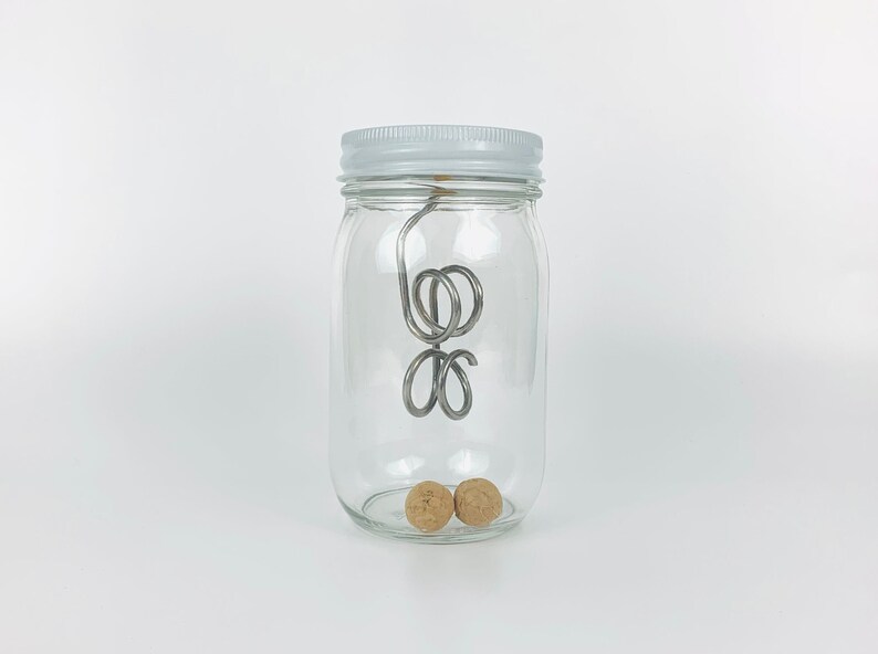 May include: A clear glass jar with a white lid and a metal wire inside. Two small, round, brown objects are at the bottom of the jar.
