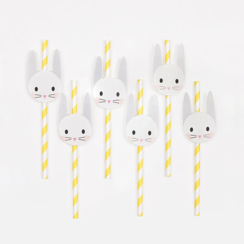 12 Bunny Rabbit Party Straws Bunny First Birthday Bunny Etsy