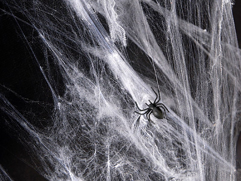 60g Large Fake Spider Web Halloween Party Decorations Etsy