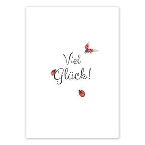 Carte postale Coccinelle