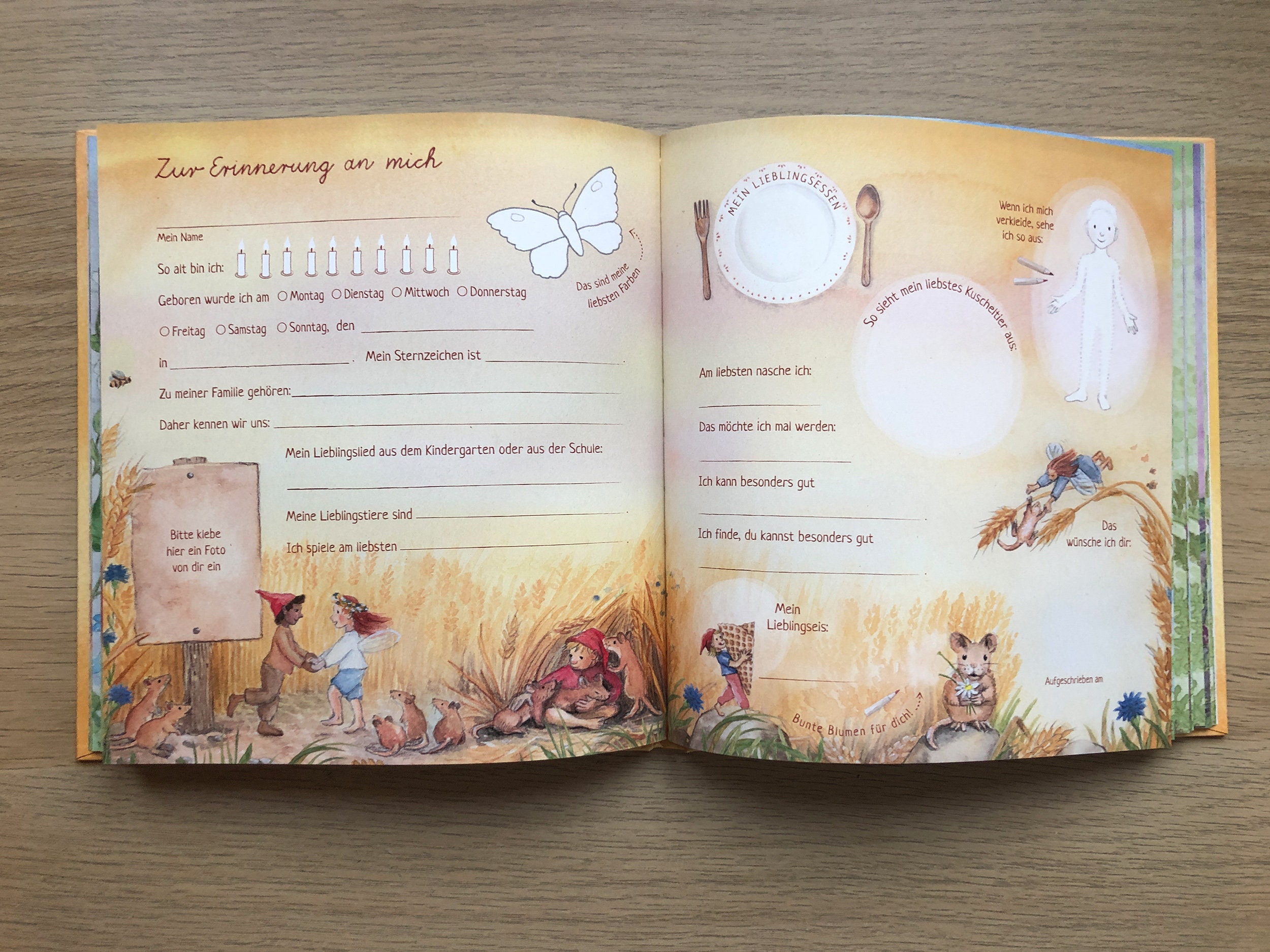 Freundschaftsbuch, Freundschaftsalbum Waldorf Schule