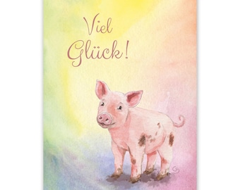 Postcard Lucky Pig