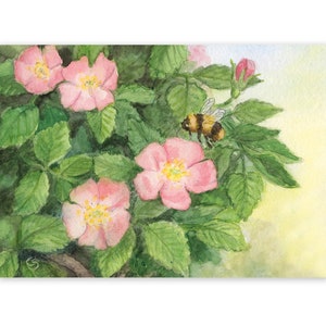 Postkarte Heckenrose, Waldorf Jahreszeitentisch