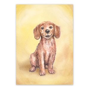 Postkarte Hund