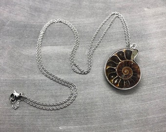 Ammonite Pendant Necklace, Sterling Silver, Prehistoric Fossil Jewelry