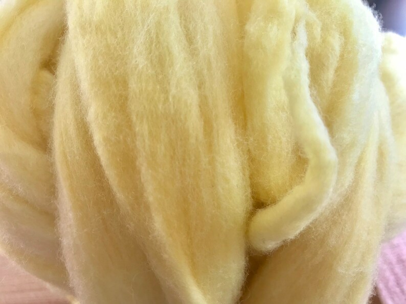 Roving Suitable for Felting Merino Wool Hand Dyed Etsy Australia