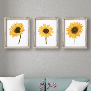 Sunflower Print , Botanical Print , Sunflowers Wall Art , Flower Art , Watercolour Sunflowers Room Decor , Home Decor - Home Office