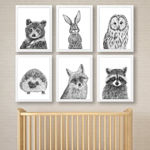 Baby Nursery Woodland Prints , Woodland Animals Illustrations , Nursery Wall Art , Hand Drawn Forest Animals , Home Decor