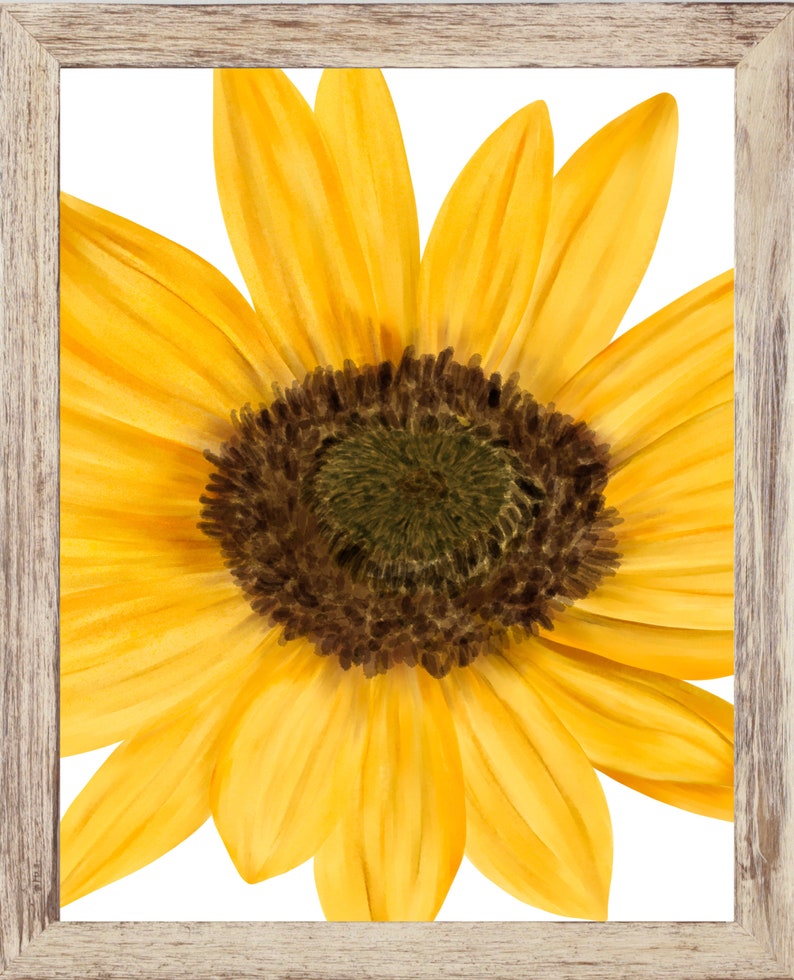 Sunflower Print Botanical Print Sunflowers Wall Art Etsy