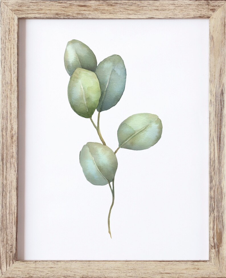 Botanical Print Eucalyptus Wall Art Leaf Print Botanical Etsy
