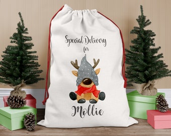 May include: White Christmas gift bag with red drawstring, featuring a cartoon reindeer wearing a grey and white hat and red scarf. The bag says "Special Delivery for Mollie".