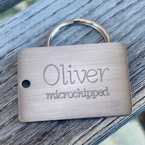 May include: Silver dog tag with the name "Oliver" and the text "microchipped" engraved on it.