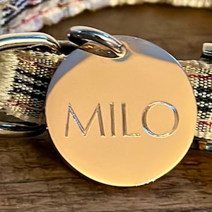 Médaille pour chien en or rose personnalisée minimaliste gravée à puce électronique pour animaux de compagnie pour petits chiens et chats - Petite taille - Optima