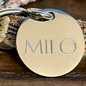 Médaille pour chien en argent gravée sur mesure - petite taille - pièce d'identité minimaliste à puce électronique pour petits chiens et chats - Optima