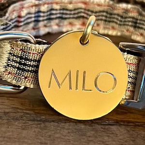 Médaille pour chien en or gravée personnalisée minimaliste à puce électronique minimaliste pour petits chiens et chats - Petite taille - Optima