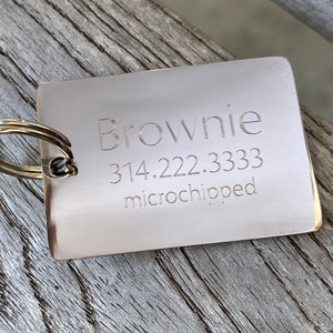 Carte d'identité rectangulaire en argent pour animal de compagnie - Acier inoxydable - grande - Médaille pour chien personnalisée - Bijoux hypoallergéniques