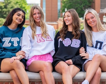 Basic Sorority Chapter Greek Letter Sweatshirt / Gildan Crew Neck Embroidered Sweatshirt / Big Little Family Letter Stitched Sweatshirts