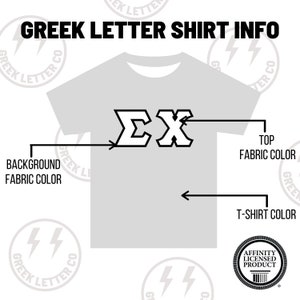 Basic Fraternity Chapter Greek Letter Sweatshirt / Gildan Crew Neck Embroidered Sweatshirt / Big Little Family Letter Stitched Sweatshirts image 3