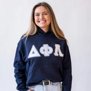 Delta Phi Lambda Basic Greek Letter Sorority Trendy Hoodie / As Colour Hoodie Sweatshirt / Embroidered Double Stitch Comfy Hoodie Sweatshirt