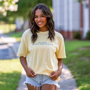 Timelessly True Sorority Embroidered Crew Neck T Shirt / Comfort Colors Crew Neck T-Shirt / Greek Letter Sorority Shirt / Big Little Shirts