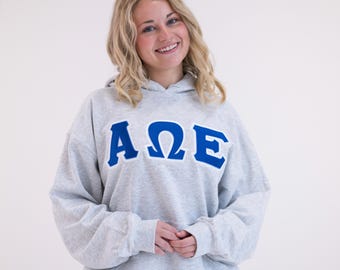 Alpha Omega Epsilon Greek Letter Hoodie Sweatshirt / Gildan Hoodie Sweatshirt / Big Little Family Letter Hoodie Sweatshirts