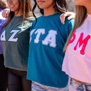 Basic Sorority Greek Letter T Shirt / Comfort Colors Stitched Crew Neck T-Shirt / Greek Sorority Shirt / Big Little Family Letters Shirts