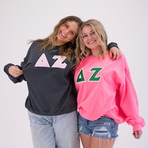 Delta Zeta Sorority Basic Greek Letter Double Stitched Sweatshirt / Gildan Crew Neck Sweatshirt / Big Little Family Customizable Gift