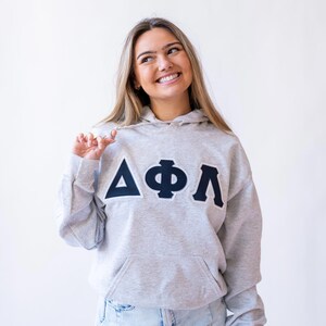 Delta Phi Lambda Greek Letter Hoodie Sweatshirt / Gildan Hoodie Sweatshirt / Big Little Family Letter Hoodie Sweatshirts