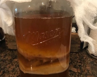 Kombucha biologico SCOBY