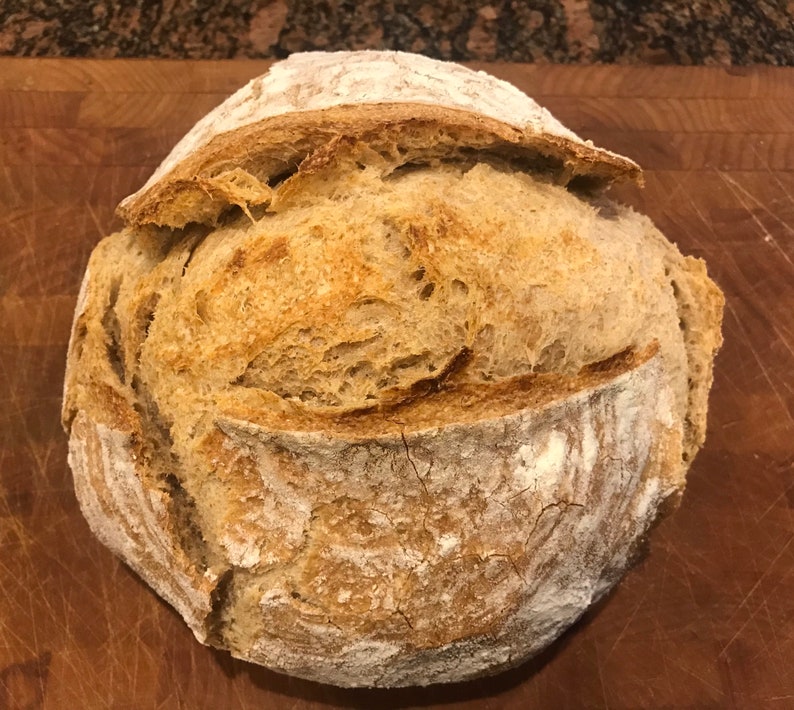 ORGANIC Sourdough Starter Etsy Canada