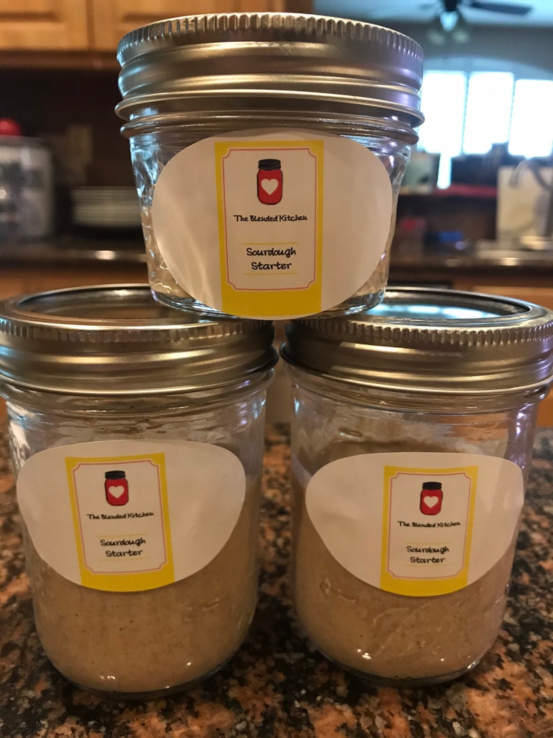 ORGANIC Sourdough Starter Etsy