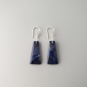 Sodalite Earrings