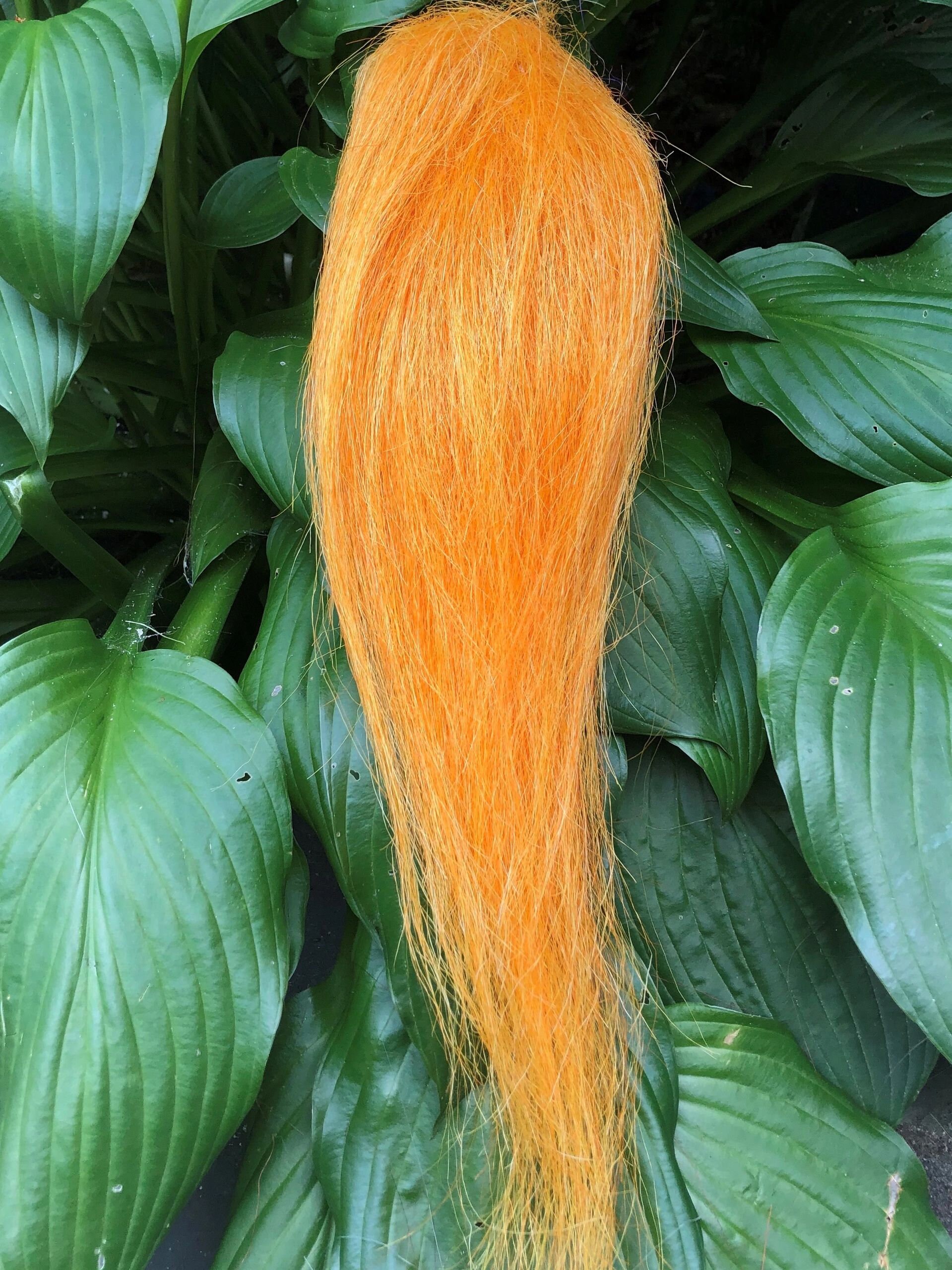 Fire Orange Etsy