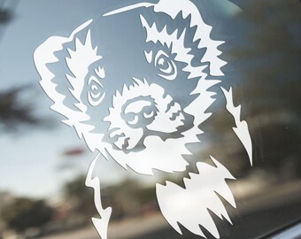 thumbnail image 2 of Crazy Ferret Lady Decal – 4.75 Inch Vinyl Window Sticker For Car Decor, Oracal 2 of 5