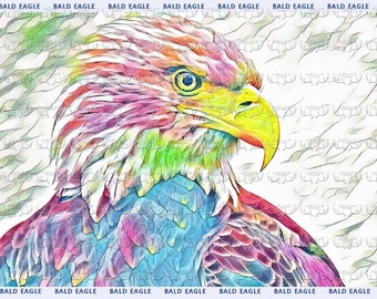 DIGITAL Bald Eagle Multi Color Design | jpg gif png pdf