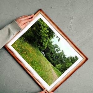 Austin Laguna Gloria Sculpture Fine Art Photography - Carol Bove's 'From the Sun to Zurich'