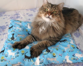 catnip bed