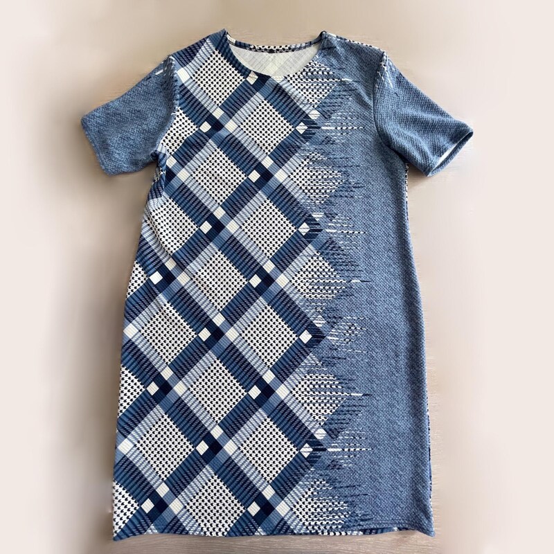 Blue Plaid Dress