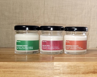 Scented Candles | Fall Autumnal Winter Christmas Fragrances | Vegan Coconut & Soy Wax | Party Favour Gifts | Mini Jar Travel | Tea light