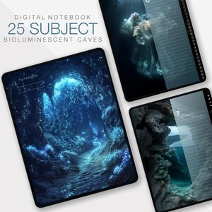 Planificador digital Planificador GoodNotes Planificador estudiantil Planificador académico Planificador para iPad Cuaderno digital moderno Notability Premium Notas de página en blanco