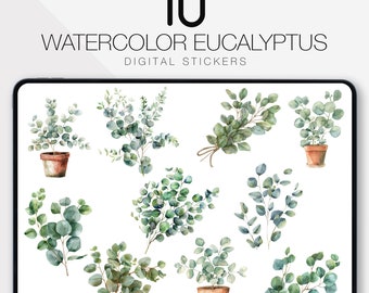 May include: Ten watercolor eucalyptus digital stickers. The stickers feature various arrangements of eucalyptus leaves in pots and bundles, with a watercolor style.
