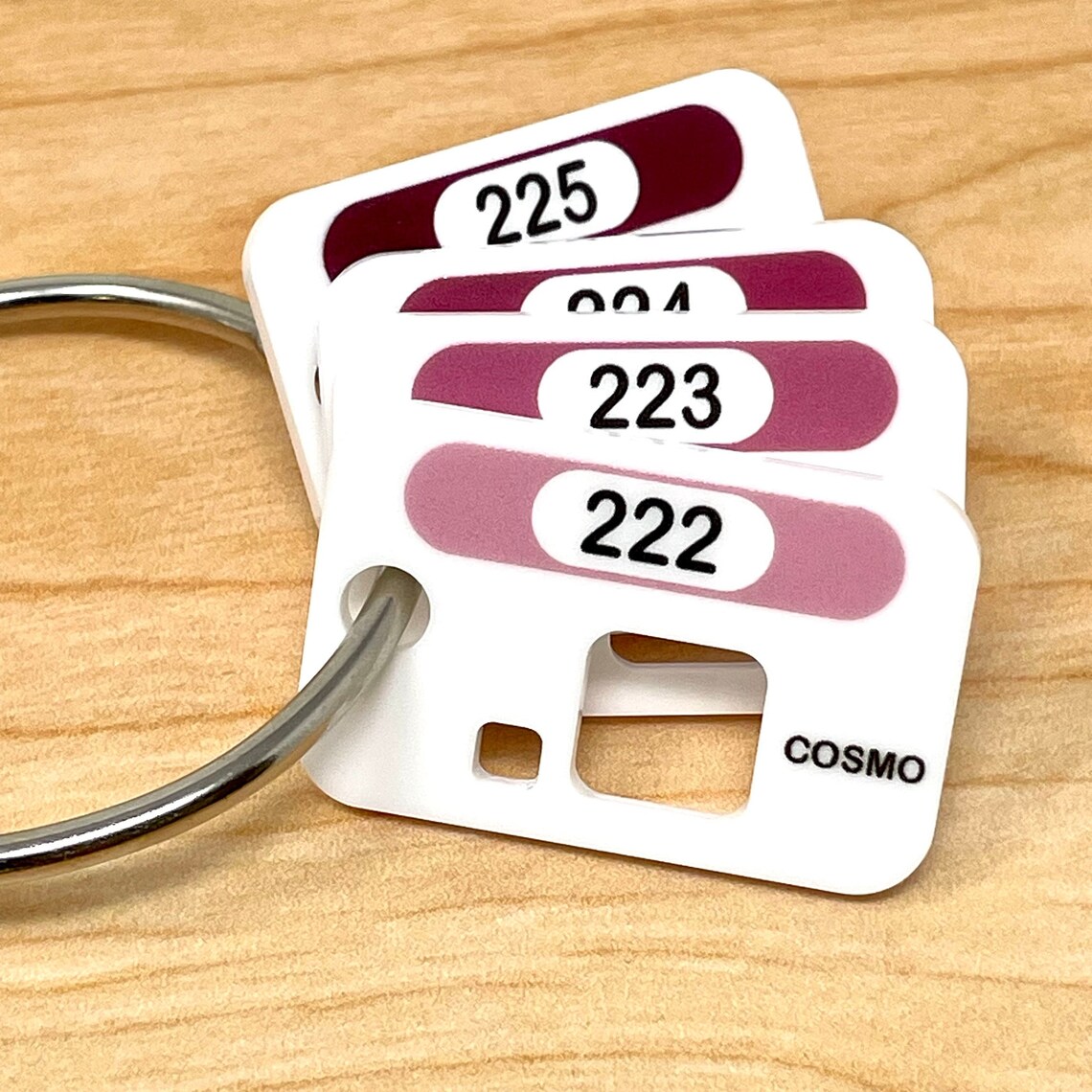 COSMO Floss Chip Storage System - Acrylic Floss Chips for Cosmo Solid ...